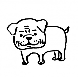 �p�O