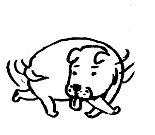 �܂�錢