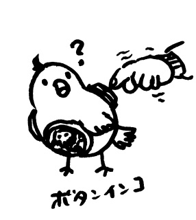 �{�^���C���R