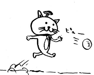 �X�J�C�n�C